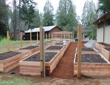 CSS TLC Garden Construction