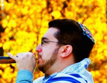 image cropped
