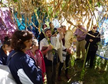 hoshana sukkah