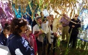 hoshana sukkah