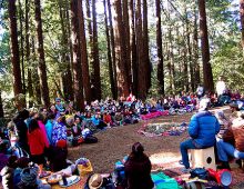Tu B'Shvat in the Redwoods