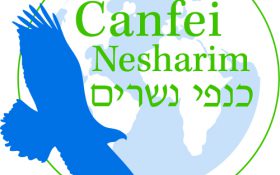 CN Logo