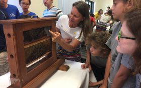 Honeybee2