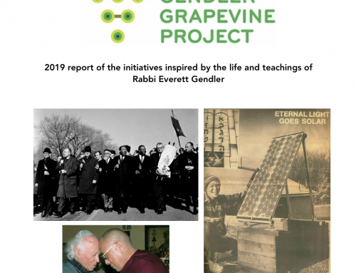 2019 Comprehensive Report