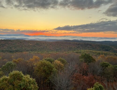 New Year Reflections